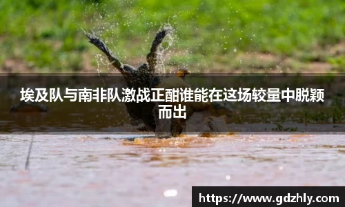 三亿体育
