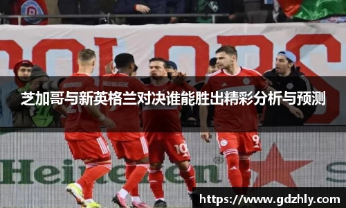 芝加哥与新英格兰对决谁能胜出精彩分析与预测