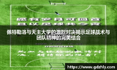 三亿体育APP