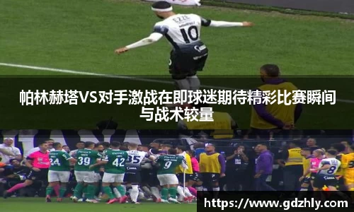 三亿体育