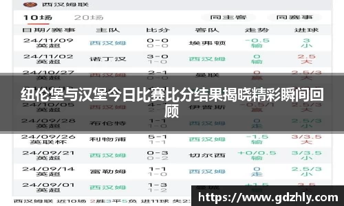 纽伦堡与汉堡今日比赛比分结果揭晓精彩瞬间回顾