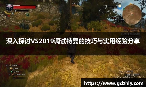 深入探讨VS2019调试特曼的技巧与实用经验分享
